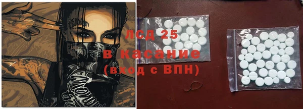 a pvp Бородино