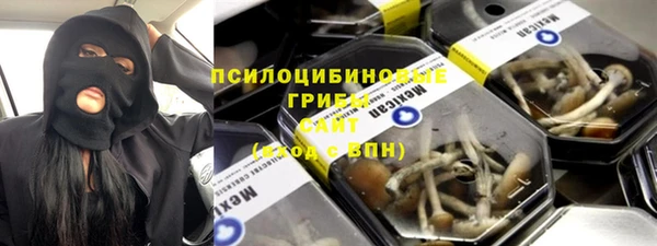 a pvp Бородино