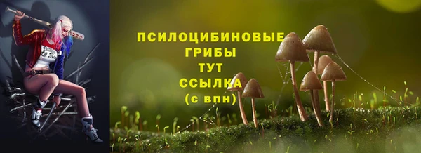 a pvp Бородино