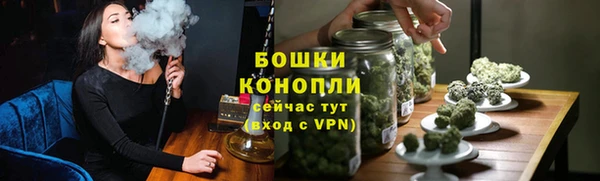 ешки Бронницы