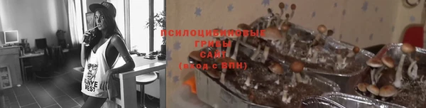 a pvp Бородино