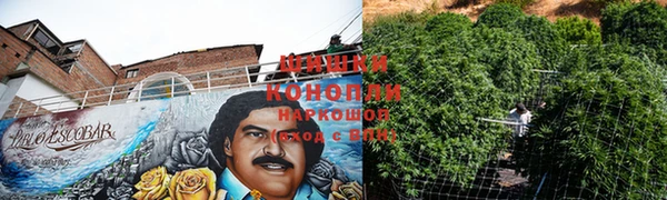 ешки Бронницы