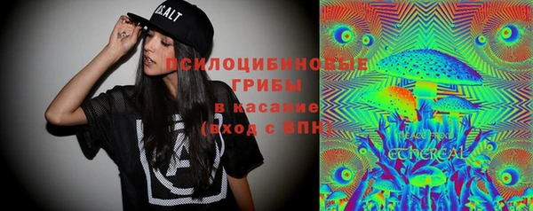 a pvp Бородино