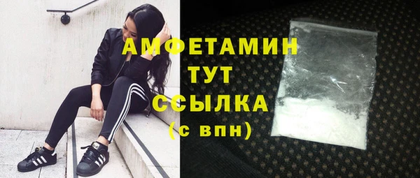 a pvp Бородино