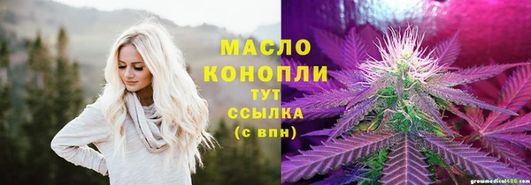 a pvp Бородино