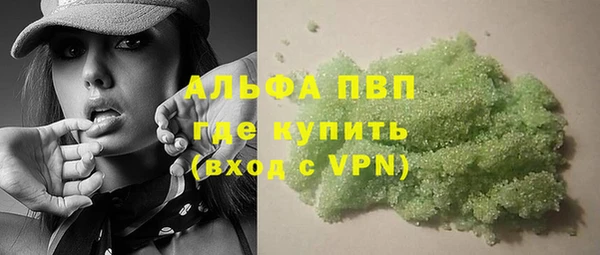 a pvp Бородино