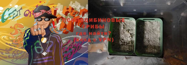 ешки Бронницы